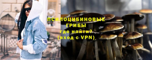 твердый Алексин