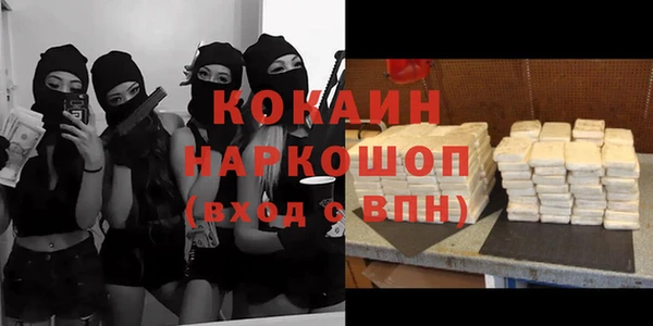 твердый Алексин