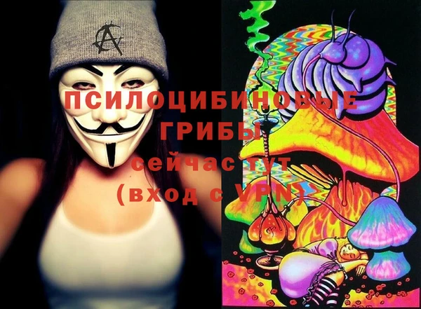 твердый Алексин