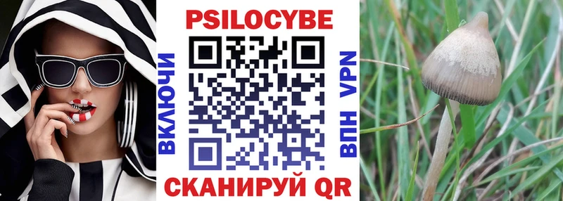 продажа наркотиков Вышний Волочёк Псилоцибиновые грибы Psilocybe